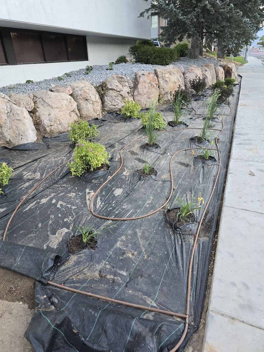 Sprinkler Installation image