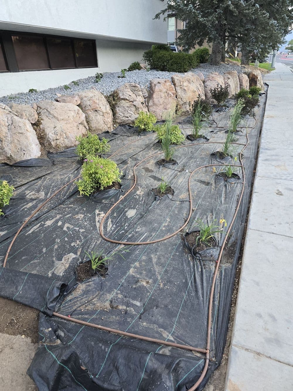 Sprinkler Installation image